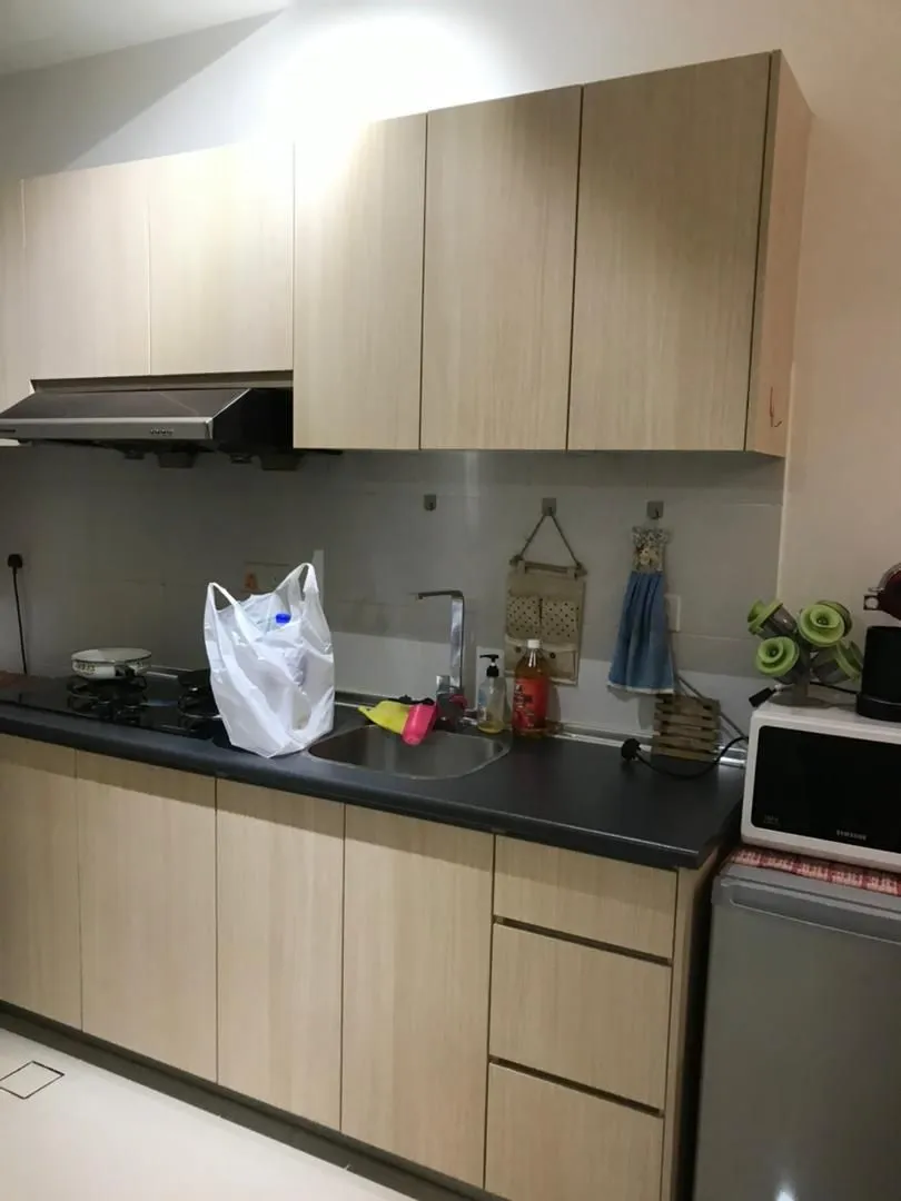South View Serviced Apartments unit property photo 15