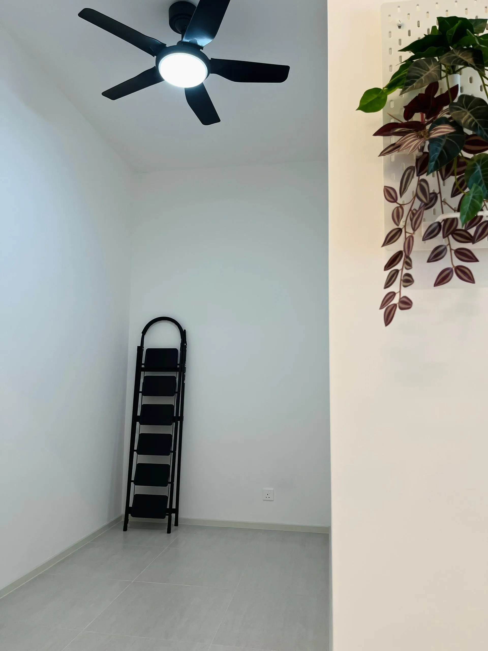Laurel Residence unit property photo 5